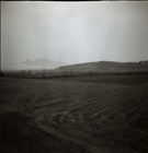 dailyPhoto4